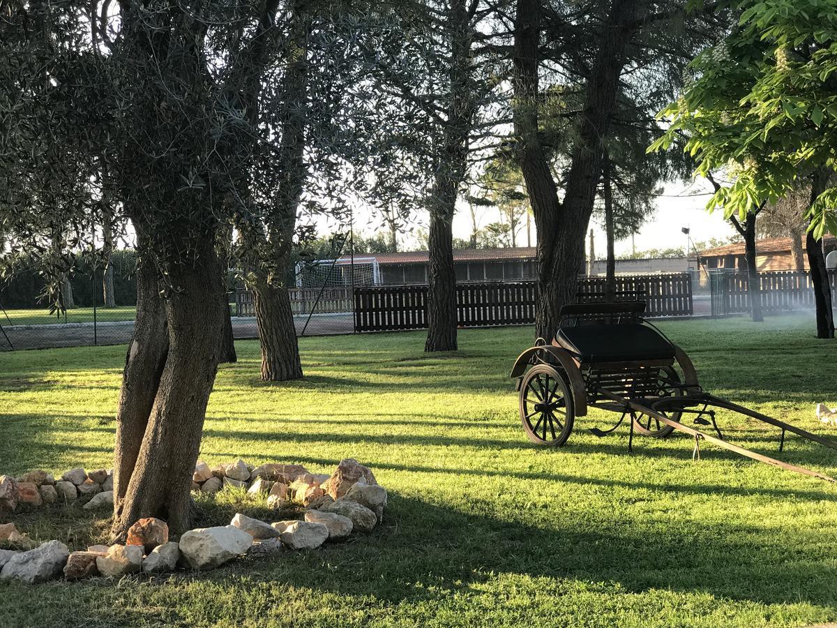 ホテルMasseria Nel Sole ルチェーラ エクステリア 写真