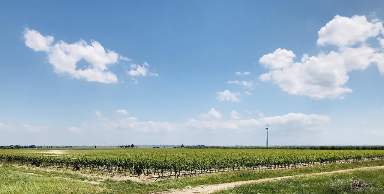 ホテルMasseria Nel Sole ルチェーラ エクステリア 写真